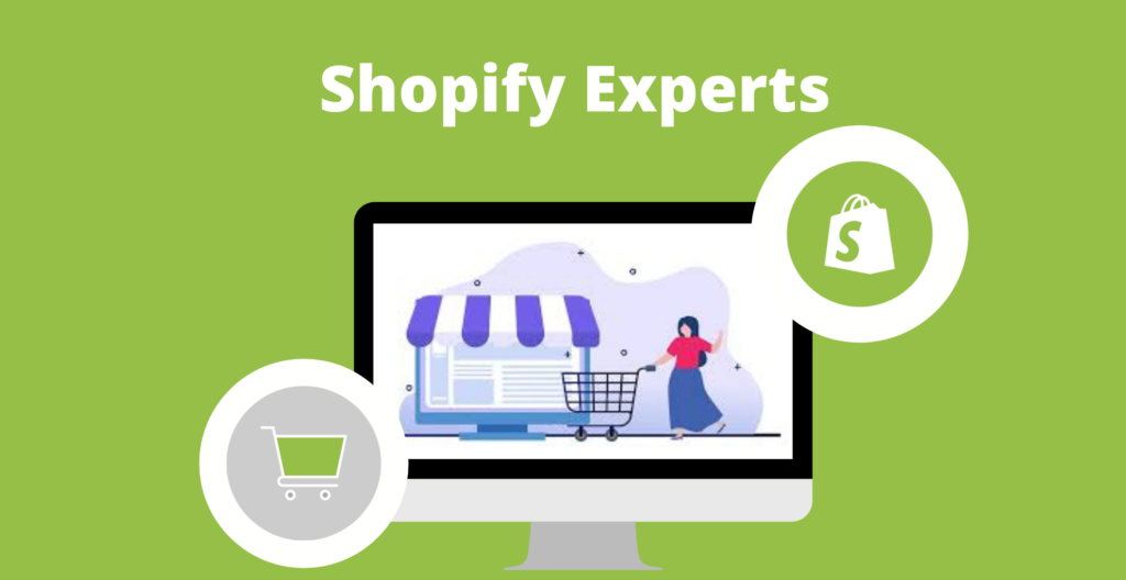 Work with a Shopify Professional