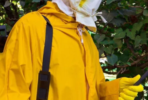 Pest control services