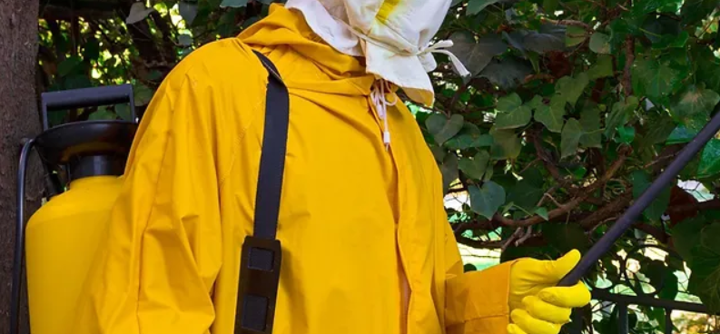 Pest control services