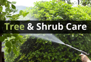 tree service calgary