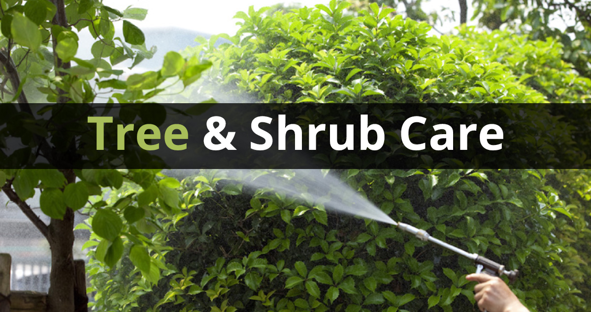 tree service calgary